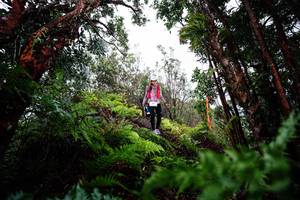 BIB: 
                            <button type="button" onclick="openModal(26204646)" class="btn btn-primary btn-sm float-right btn-popup" data-toggle="modal" data-target=".modal-high-quality">
                        <i class="fas fa-shopping-cart"></i> Add to Cart
                    </button>
                                            <button type="button" onclick="isThisMe(26204646, true)" class="btn btn-success btn-sm float-right btn-popup btn-isme hidden" data-toggle="tooltip" data-placement="bottom" title="นี่คือรูปของคุณใช่ไหม คลิกที่นี่เพื่อเอาเข้าอัลบั้ม">
                        <i class="fas fa-plus"></i> Add to album
                    </button>
                    <button type="button" onclick="isThisMe(26204646, false)" class="btn btn-warning btn-sm float-right btn-popup btn-isnotme hidden">
                        <i class="fas fa-ban"></i> Remove from album
                    </button>